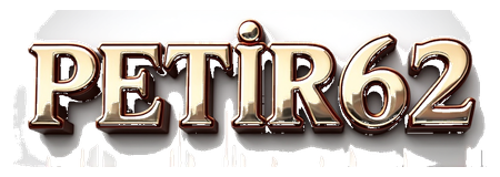 petir62 logo